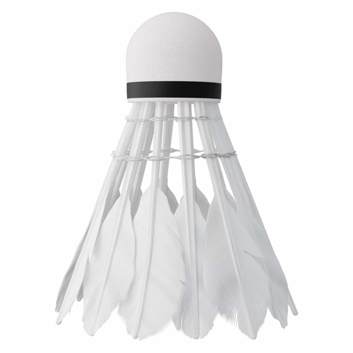 NILS Badminton shuttlecocks feather 3 pieces - perfect for training 4