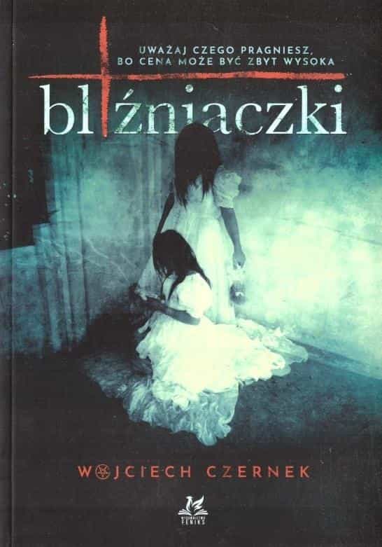 Wojciech Czernek - Twins - captivating novel 2