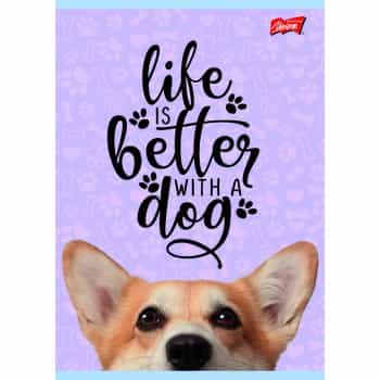 Unipap A4 Notebook 32 sheets double line mixed covers - ideal for school 2