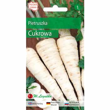 Legutko Sugar Root Parsley - early variety for your garden 2