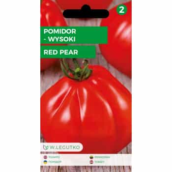Tall tomato Red Pear - original amateur variety 2