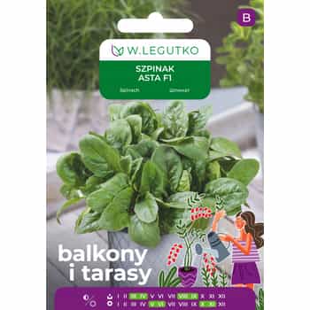 Legutko Spinach Asta F1 - ideal for spring and autumn cultivation 2