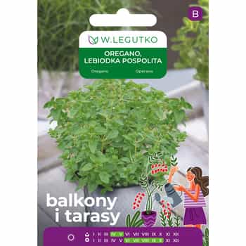 Legutko Oregano - aromatic spice for pizza and meat dishes 2