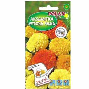 PlantiCo Tall marigold mix of flowers 2