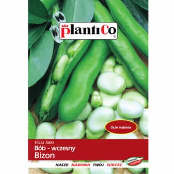 PlantiCo Broad Bean Bizon - seeds for growing in the garden 2