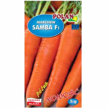 PlantiCo Carrot Samba F1 - late variety for your garden 2