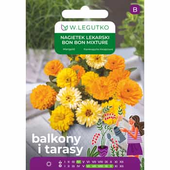Calendula Bon Bon - edible flowers for your garden 2