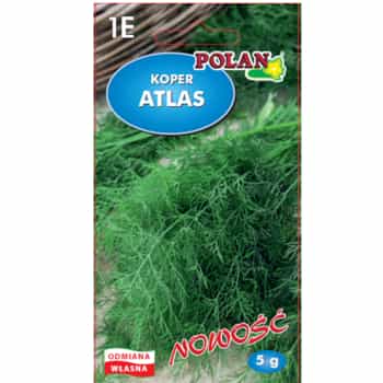 Koper Ogrodowy Atlas do Gruntu i Pojemników PlantiCo 2