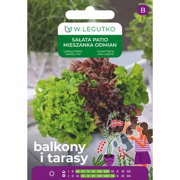 Legutko Lettuce Patio - fresh and crispy straight from the garden 2
