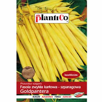 PlantiCo Yellow Bean Goldpanther - ideal for your garden 2