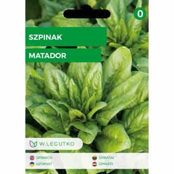 Spinach Matador - ideal for growing in your garden 2