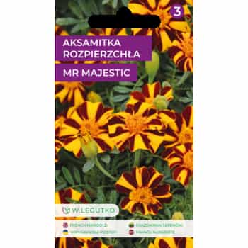 Spreading marigold - ornamental annual plant for your garden 2