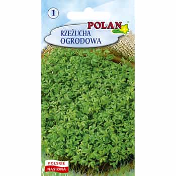 Polan Cress - fresh sprouts for your home 2