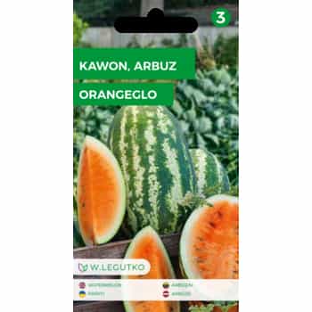 Watermelon Kawon Orangeglo - Orange flesh, perfect for summer 2