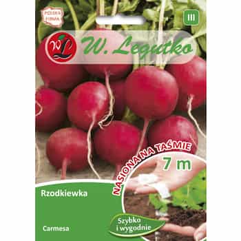 Radish Carme Seeds - tape for cultivation for every gardener 2