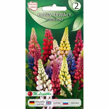 Lupinus polyphyllus Seeds - Colorful mix for your garden 2