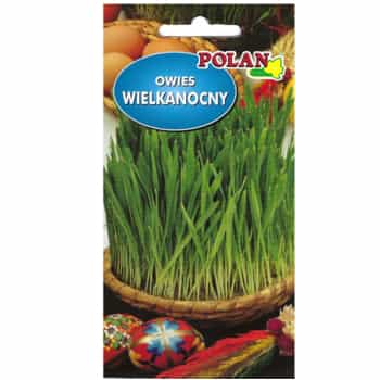 Polan Oat seeds for sowing - create an Easter decoration 2