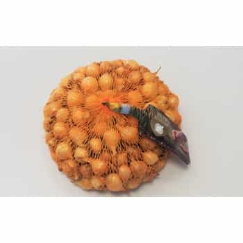 Shallot Onion Effect - easy cultivation in your garden 2