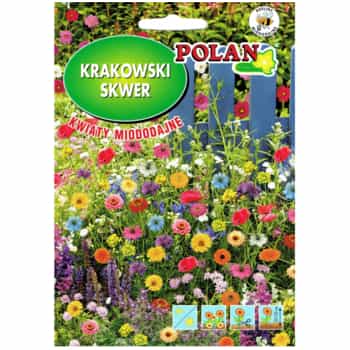 PlantiCo Honey-Bearing Flower Seed Mix for Krakow Square - Create an Enclave for Insects 2