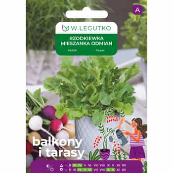 Radish Mix of Round Varieties - Colorful and Tasty Variety 2