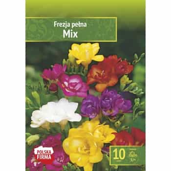 Benex Double Freesia Mix - Colorful mix for your garden 2