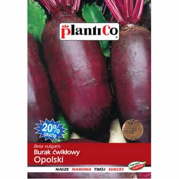 PlantiCo Beetroot Opolski - late variety for your garden 2