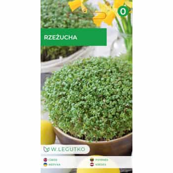 Legutko Garden cress - fresh and spicy for your dishes 2