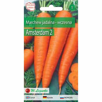 Carrot Amsterdam 2 Legutko - early and high-yielding variety 2