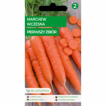 Legutko Early Edible Carrot - ideal for growing in the garden 2