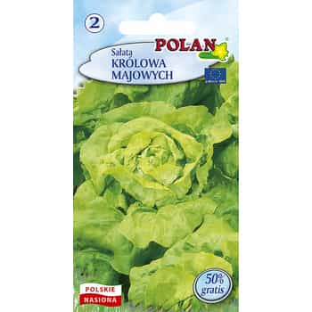 Butterhead Lettuce Queen of May - fresh and delicate for your garden 2