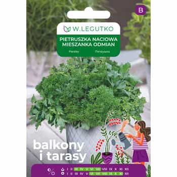 Legutko Parsley leaf - mixture of varieties ideal for dishes 2