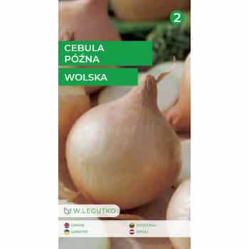 Onion Wolska Łoska Straw Yellow - late variety ideal for storage 2