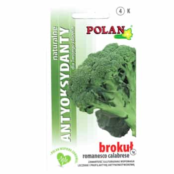 PlantiCo Romanesco Broccoli Calabrese - Seeds for growing in the garden 2