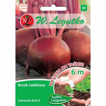 Seeds on tape: Cucumber and Dill - easy cultivation 2