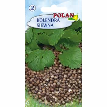 Polan Coriander Sativa Seeds - aromatic addition to dishes 2