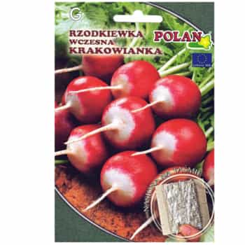 PlantiCo Radish Krakowianka - seeds on tape for abundant yields 2