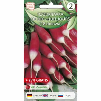 Radish De Dix-Hit Legutko - early variety for cultivation, ideal for salads 2