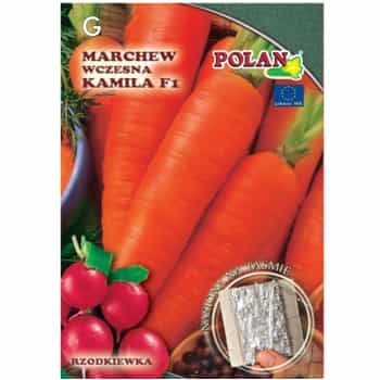 PlantiCo Carrot Kamila - early carrot with indicator, ideal for your garden 2