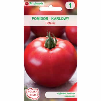 Dwarf Tomato Betalux - early variety ideal for your garden 2
