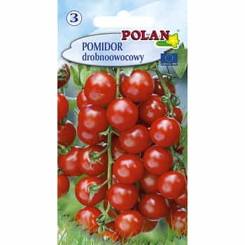 Tomato Bajaja - Small-fruited ideal for balcony 2