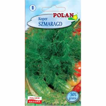 Dill Emerald Polan - Medium-late variety with high yield 2