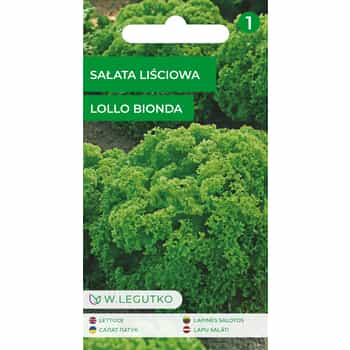 Lollo Bionda Lettuce - fresh and crispy, perfect for your dishes 2
