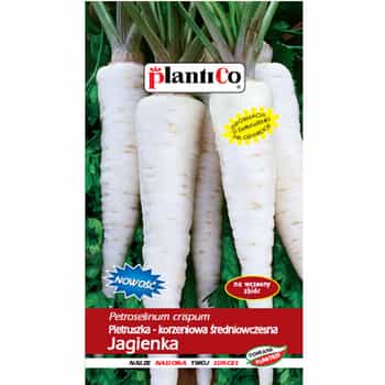 PlantiCo Parsley root Jagienka - seeds for cultivation 2