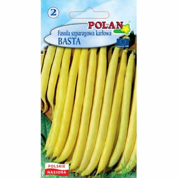 Basta Polan Bean - Yellow string bean early variety 2