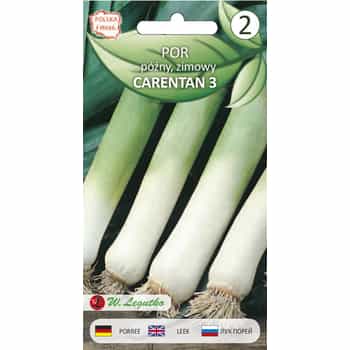 Leek Carentan late - high-yielding, winter-hardy variety for the garden 2