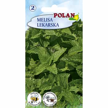 Lemon balm Polan - natural support for your health 2