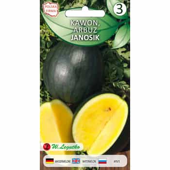 Watermelon Kawon Janosik - sweet, yellow flesh, perfect for summer 2