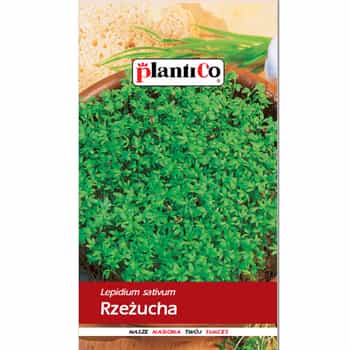 Plantico Cress Seeds - a fresh addition to your kitchen 2