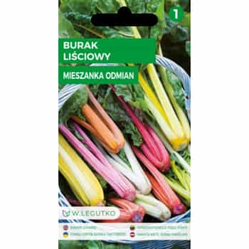 Legutko Leaf beet mixture seeds - for a healthy garden 2