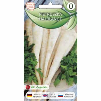Legutko Parsley Halblange - late variety for winter storage 2